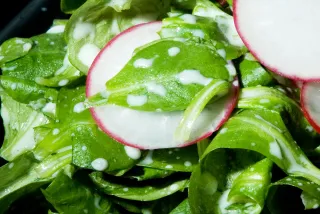 Photo of Lamb's Lettuce with Dressing